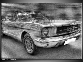 Glas schilderij Mustang | Zwart, Wit, Grijs