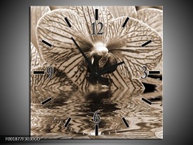 Wandklok op Glas Orchidee | Kleur: Sepia, Bruin | F001877CGD