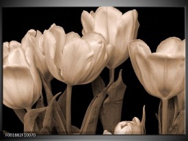 Glas schilderij Tulpen | Sepia, Bruin