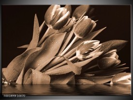 Foto canvas schilderij Tulpen | Sepia, Bruin