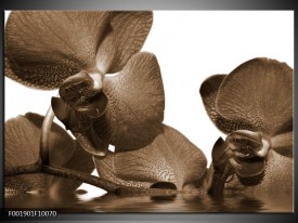 Foto canvas schilderij Orchidee | Sepia, Bruin