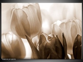 Foto canvas schilderij Tulpen | Sepia, Bruin