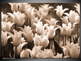 Foto canvas schilderij Tulpen | Sepia, Bruin