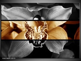 Foto canvas schilderij Orchidee | Sepia, Bruin