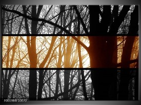 Glas schilderij Natuur | Sepia, Bruin