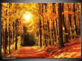 Glas schilderij Herfst | Geel, Oranje, Bruin