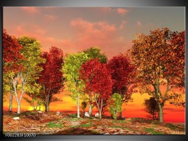 Glas schilderij Herfst | Rood, Bruin, Geel