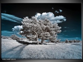 Foto canvas schilderij Boom | Grijs, Blauw, Wit