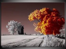 Foto canvas schilderij Natuur | Geel, Grijs, Wit