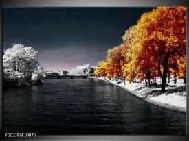 Foto canvas schilderij Natuur | Oranje, Wit, Grijs