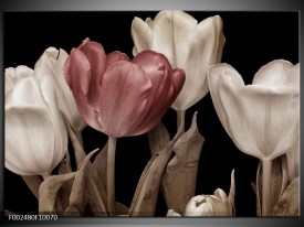 Foto canvas schilderij Tulpen | Bruin, Wit, Zwart