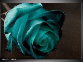 Glas schilderij Roos | Blauw, Wit, Zwart