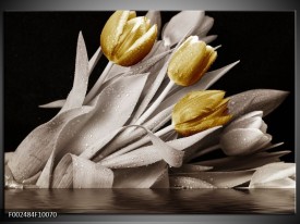 Foto canvas schilderij Tulpen | Geel, Wit, Zwart