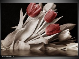 Foto canvas schilderij Tulpen | Bruin, Wit, Zwart