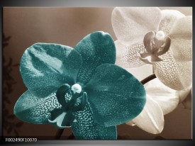 Foto canvas schilderij Orchidee | Blauw, Wit, Grijs