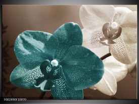 Glas schilderij Orchidee | Blauw, Wit, Grijs