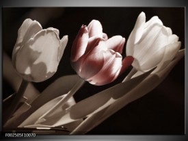 Foto canvas schilderij Tulp | Bruin, Grijs, Wit