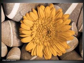 Foto canvas schilderij Bloem | Geel, Grijs, Wit