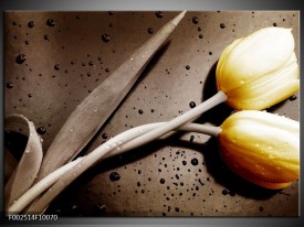 Foto canvas schilderij Tulp | Geel, Grijs, Wit