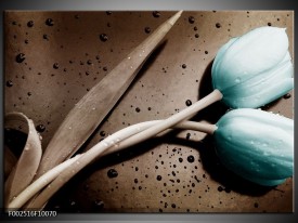 Foto canvas schilderij Tulp | Blauw, Grijs, Wit