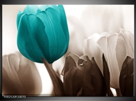 Foto canvas schilderij Tulpen | Blauw, Wit, Grijs