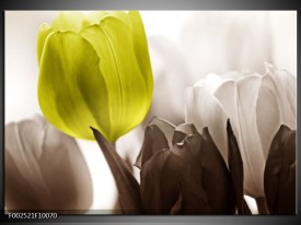 Glas schilderij Tulpen | Groen, Wit, Grijs