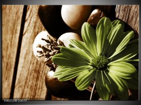 Foto canvas schilderij Bloem | Groen, Wit, Grijs