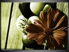 Foto canvas schilderij Bloem | Bruin, Wit, Groen