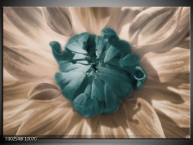 Foto canvas schilderij Bloem | Blauw, Wit, Grijs