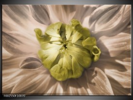Foto canvas schilderij Bloem | Groen, Wit, Grijs