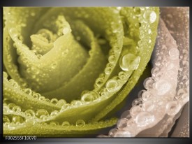 Glas schilderij Roos | Groen