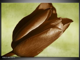 Foto canvas schilderij Tulp | Bruin, Grijs, Zwart