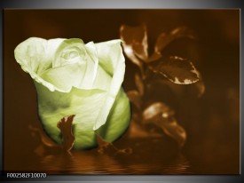 Foto canvas schilderij Bloem | Wit, Bruin, Groen