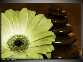 Foto canvas schilderij Bloem | Wit, Bruin, Groen