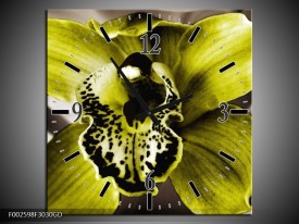 Wandklok op Glas Iris | Kleur: Groen, Wit, Grijs | F002598CGD