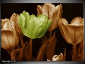 Foto canvas schilderij Tulp | Bruin, Groen, Zwart