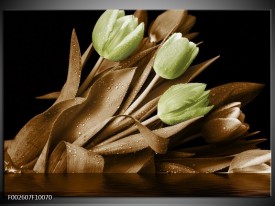 Foto canvas schilderij Tulp | Groen, Bruin, Zwart