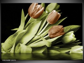 Foto canvas schilderij Tulp | Groen, Bruin, Zwart