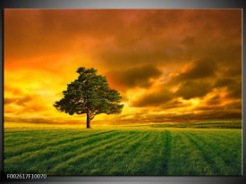 Foto canvas schilderij Boom | Groen, Geel, Bruin