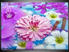 Foto canvas schilderij Bloem | Paars, Wit, Rood