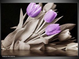 Foto canvas schilderij Tulp | Paars, Zwart, Grijs