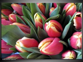 Foto canvas schilderij Tulp | Roze, Groen, Geel