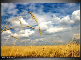 Foto canvas schilderij Natuur | Wit, Geel, Blauw