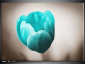 Foto canvas schilderij Tulp | Blauw, Wit, Grijs