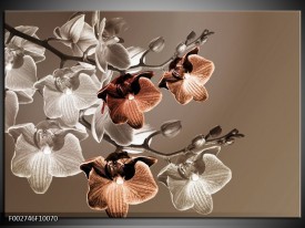 Foto canvas schilderij Orchidee | Grijs, Bruin