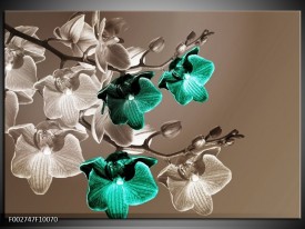 Foto canvas schilderij Orchidee | Groen, Bruin, Grijs