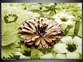 Foto canvas schilderij Bloem | Groen, Bruin