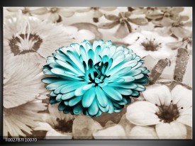 Foto canvas schilderij Gerbera | Sepia, Groen