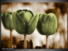 Foto canvas schilderij Tulpen | Bruin, Groen