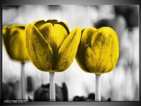 Glas schilderij Tulpen | Geel, Wit, Grijs